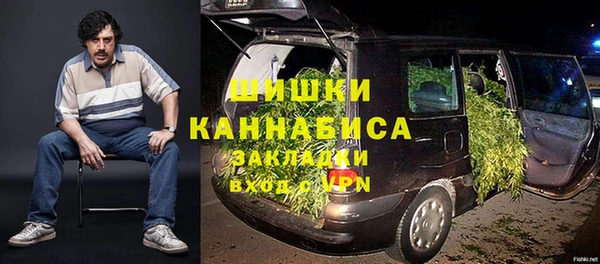 индика Медвежьегорск