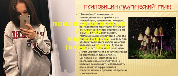 PSILOCYBIN Богородск