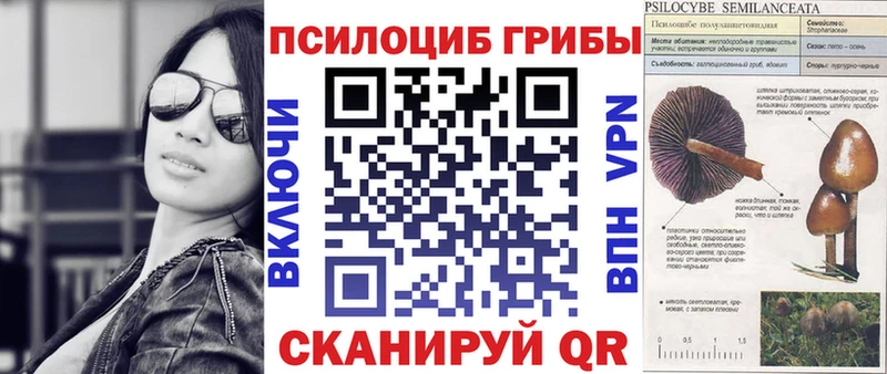 где купить наркоту  Архангельск  Псилоцибиновые грибы Psilocybine cubensis 