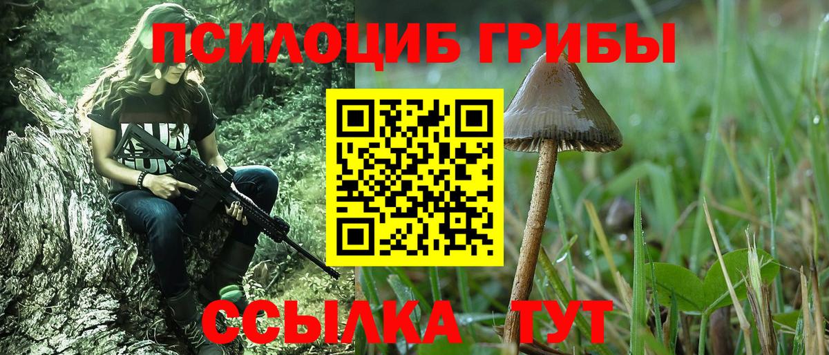 Галлюциногенные грибы Cubensis Архангельск
